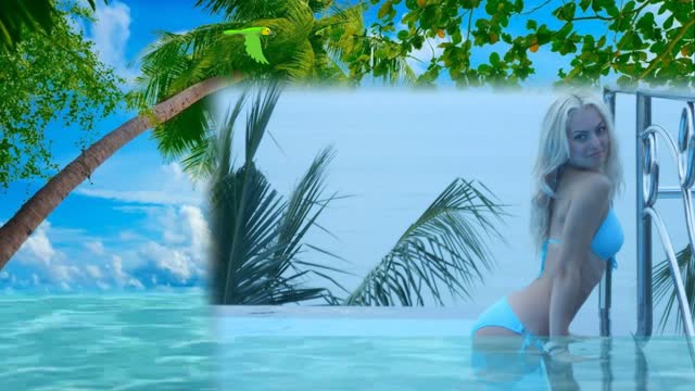 0007_Project ProShow Producer Пальмы