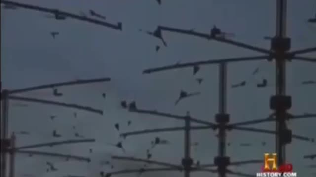 H.A.A.R.P From Historia