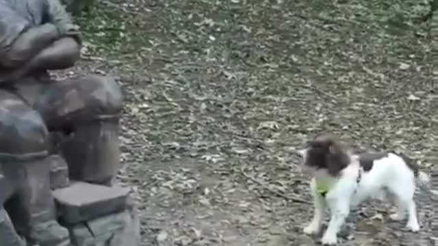 The dog doesn't care who to play with