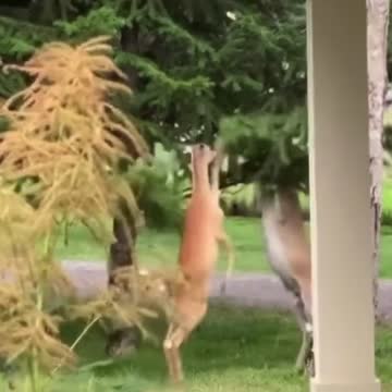 Twitter Now Re: Elon Musk