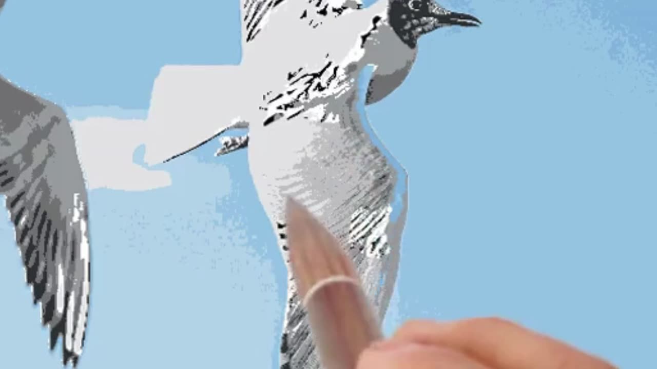 Easy Steps to Draw Birds A Beginner's Guide