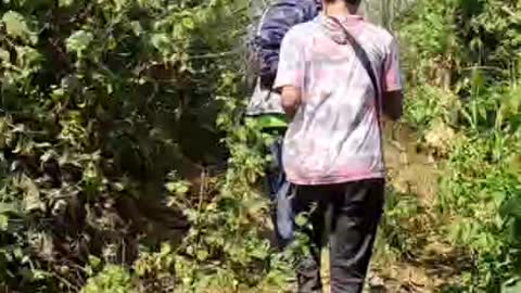 Hiking