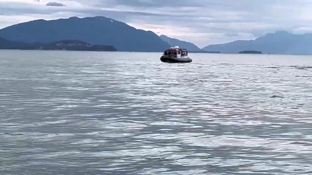 Whale watching in Juneau Alaska