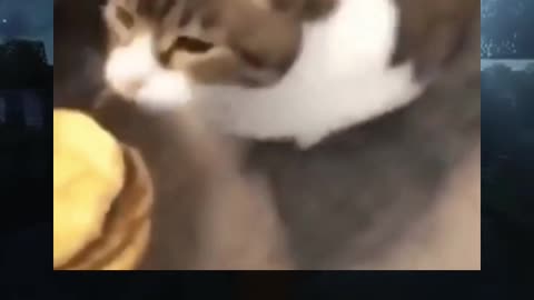 UUAAAA😂