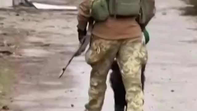 Ukrainian Soldiers Rescue Dog Found on the Frontlines #Shorts