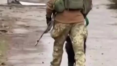 Ukrainian Soldiers Rescue Dog Found on the Frontlines #Shorts