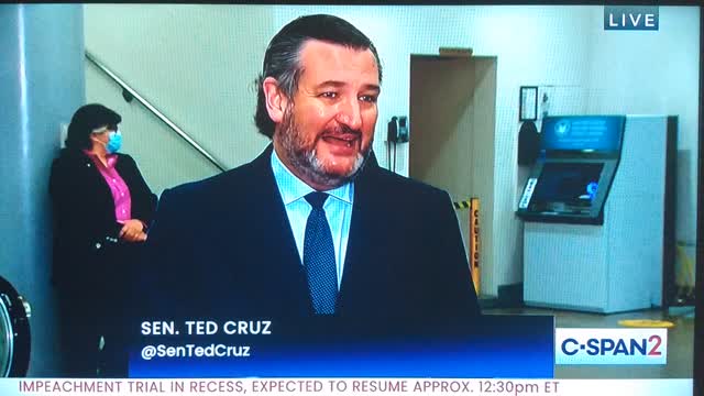 Ted Cruz describes the Panic & Confusion of Senate Democrats after the vote to subpoena witnesses