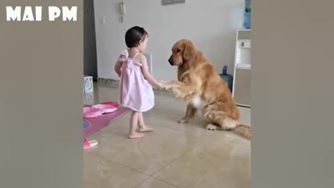 Cute dog and human friendship compilation
