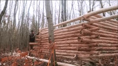 how to build a log cabin ( cheep and esey )