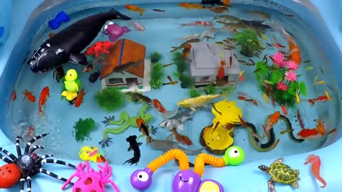 Cute Animals, Giant Whale, Crocodile, Flapping Duck, Black Shark, Turtle, Seahorse, Snake, Goldfish