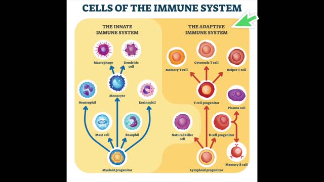 Science - COVID-19 - Dr. Shane Crotty - Vaccines