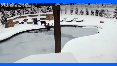 Woman Saves Dog