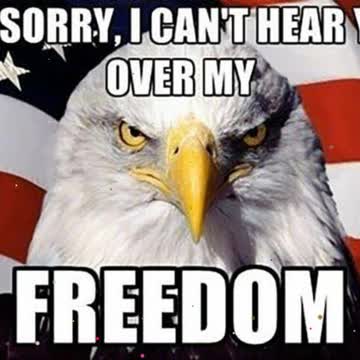 I pledge to the flag