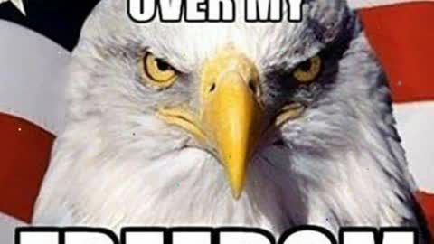 I pledge to the flag