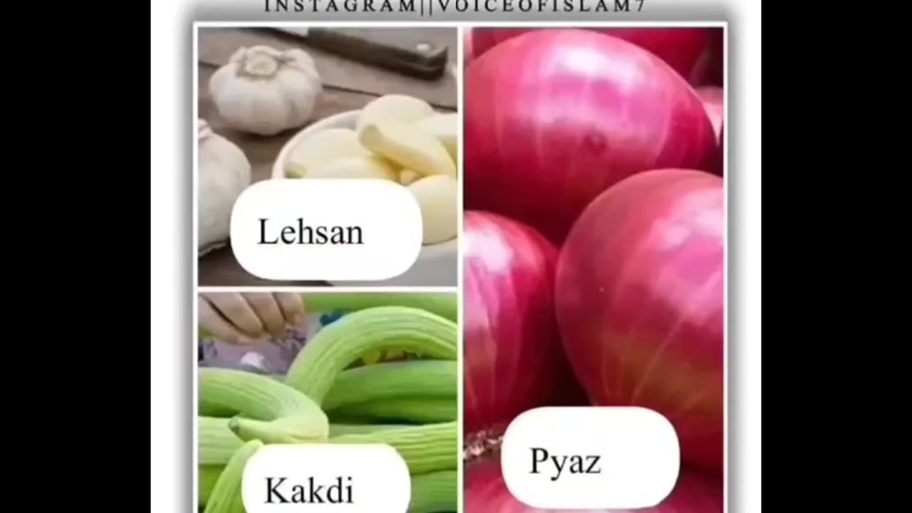 6 fruits mentioned in Quran