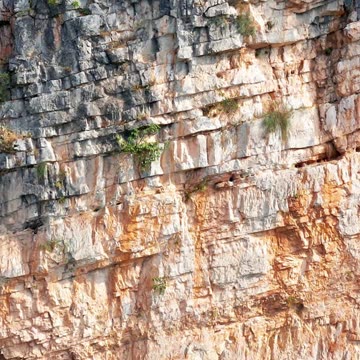 🌟 The fascinating world of sedimentary rocks! 🌟