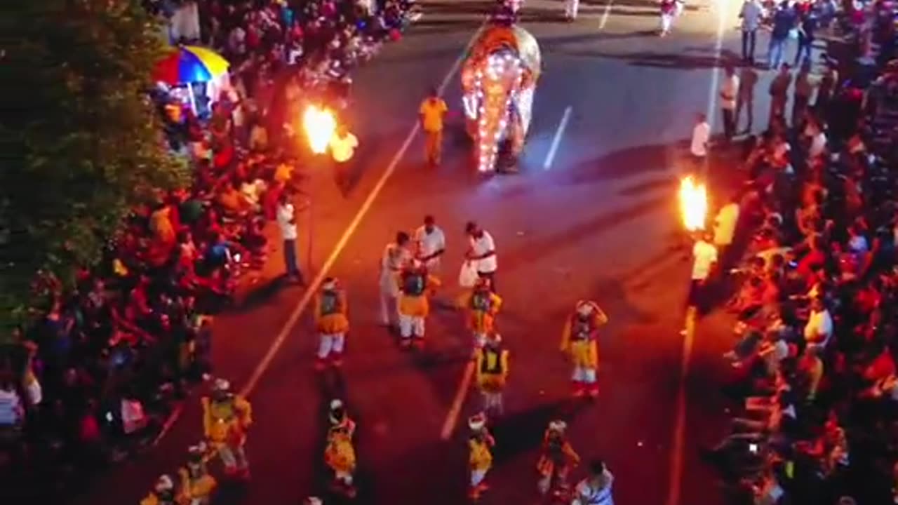 Sri Lankan Culture | Vesak Perahara ☘️