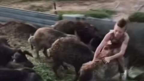 Funny Boys Riding A Pig