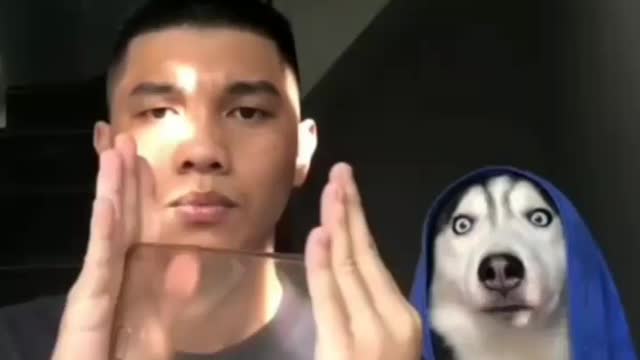 Dog is magician