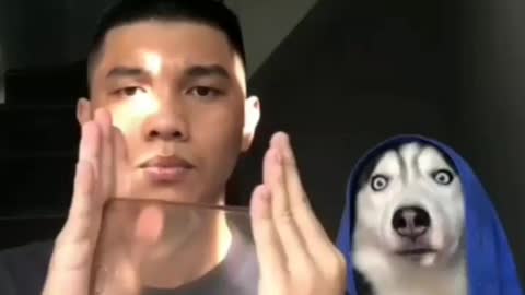 Dog is magician