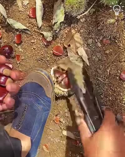 Nothing better than fresh and juicy fruits on a sunny day