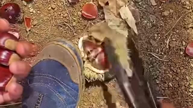 Nothing better than fresh and juicy fruits on a sunny day