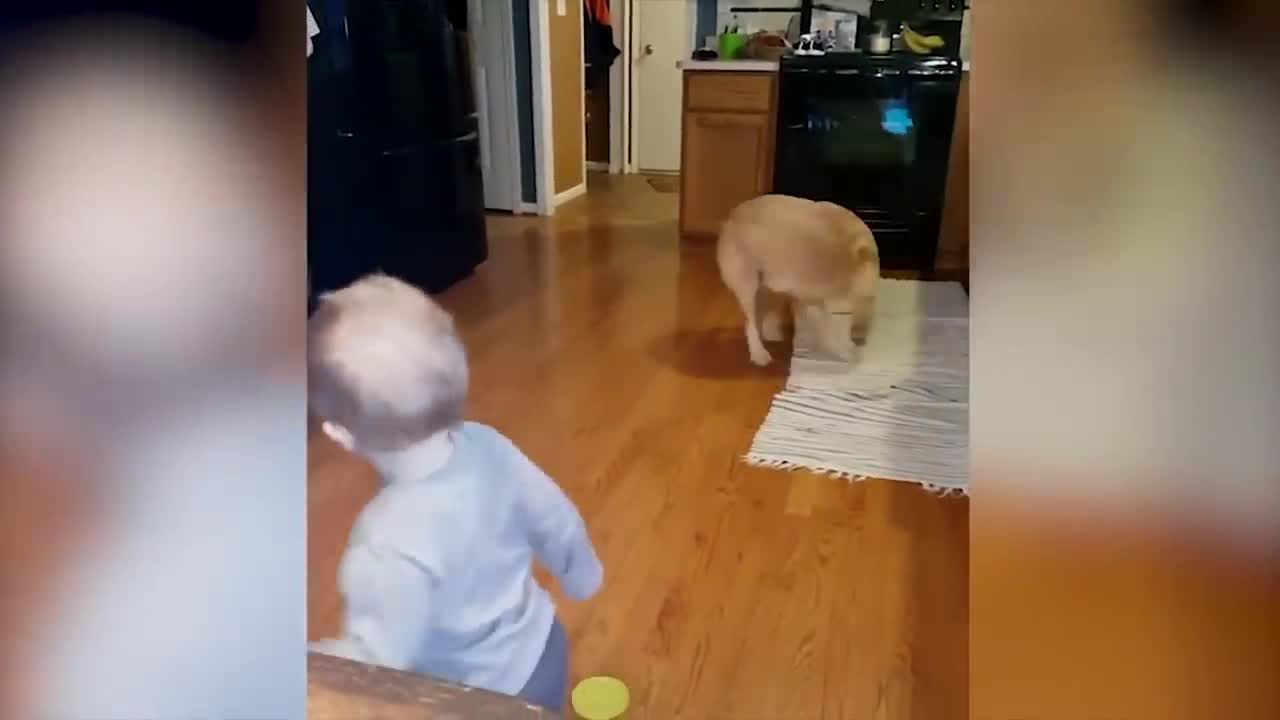 Dogs And Babies Are Best FriendsEp 3