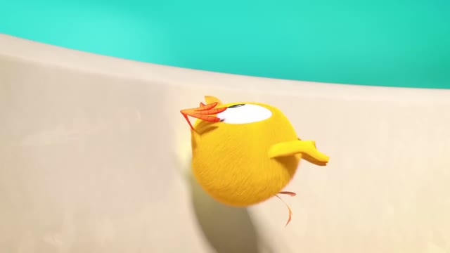 Where's Chicky? Funny Chicky 2020 | CHICKY'S CAMPGROUND | Chicky Cartoon in English for Kids