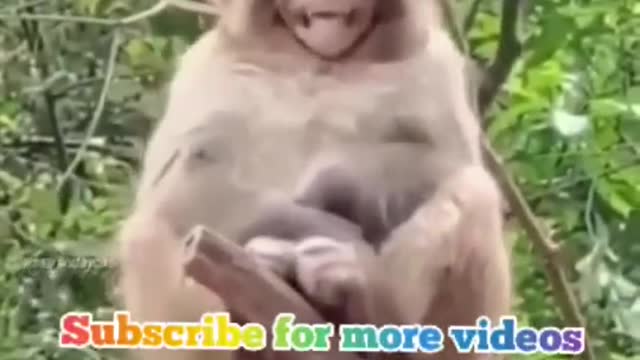 Lakshmi || #funny videos || comedy
