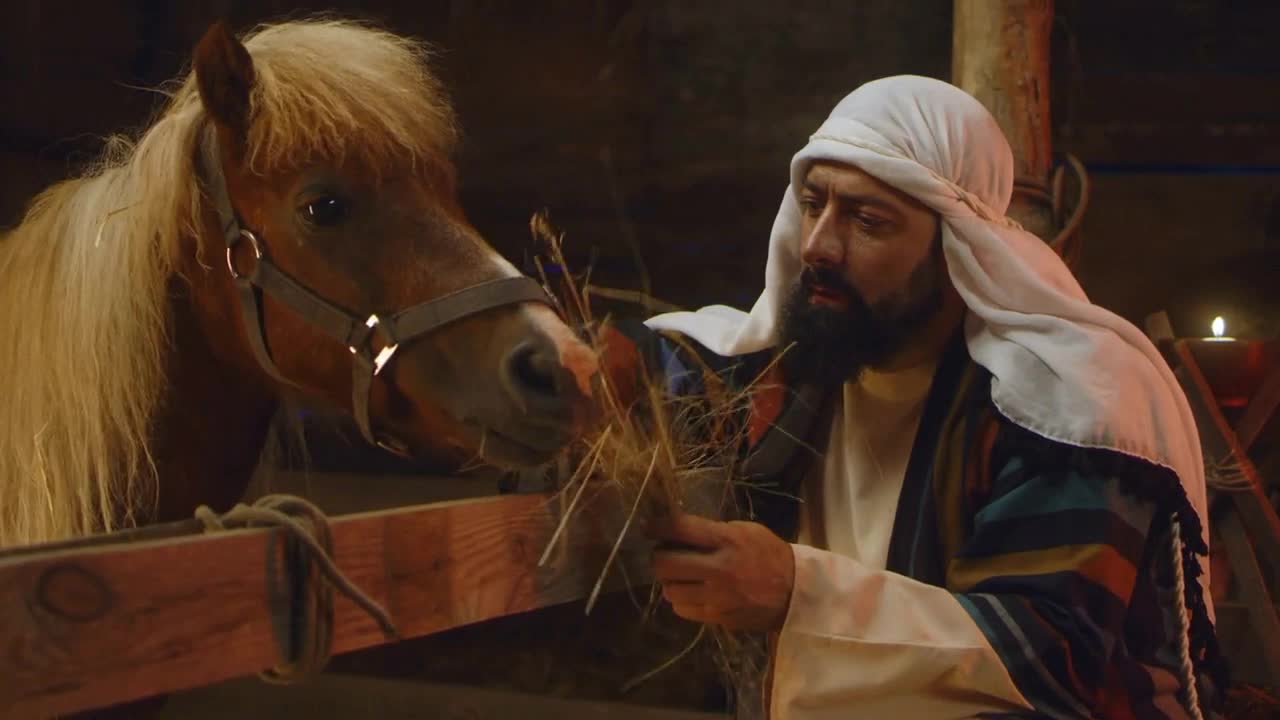 Zoom in view of Saint Joseph feeding horse with hay in stable after birth of son of God in Bethlehem