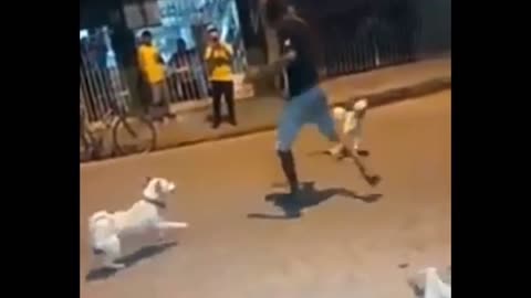 Man chasing dog Defend against dog attack Funny moments