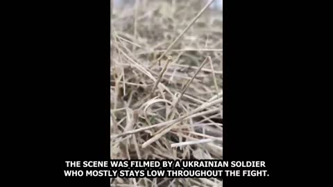 🔴 Ukraine War - Ukrainian Humvees In And After Combat With Russian Forces