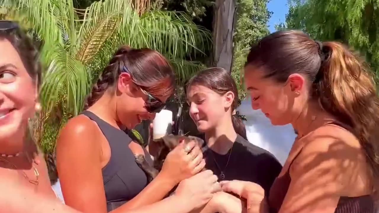 Surprising my sisters with a new puppy🐕😄
