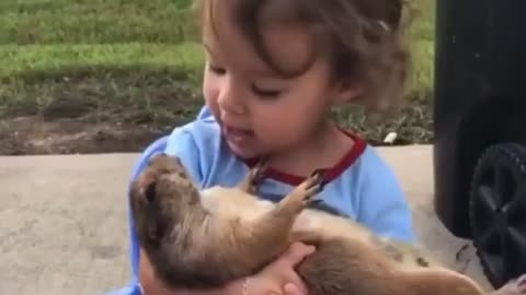 Little girl sings to her prairie dog.