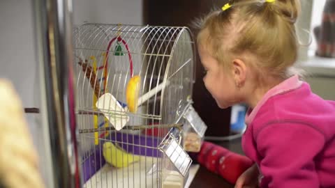 Little girl plays with a parrot cage