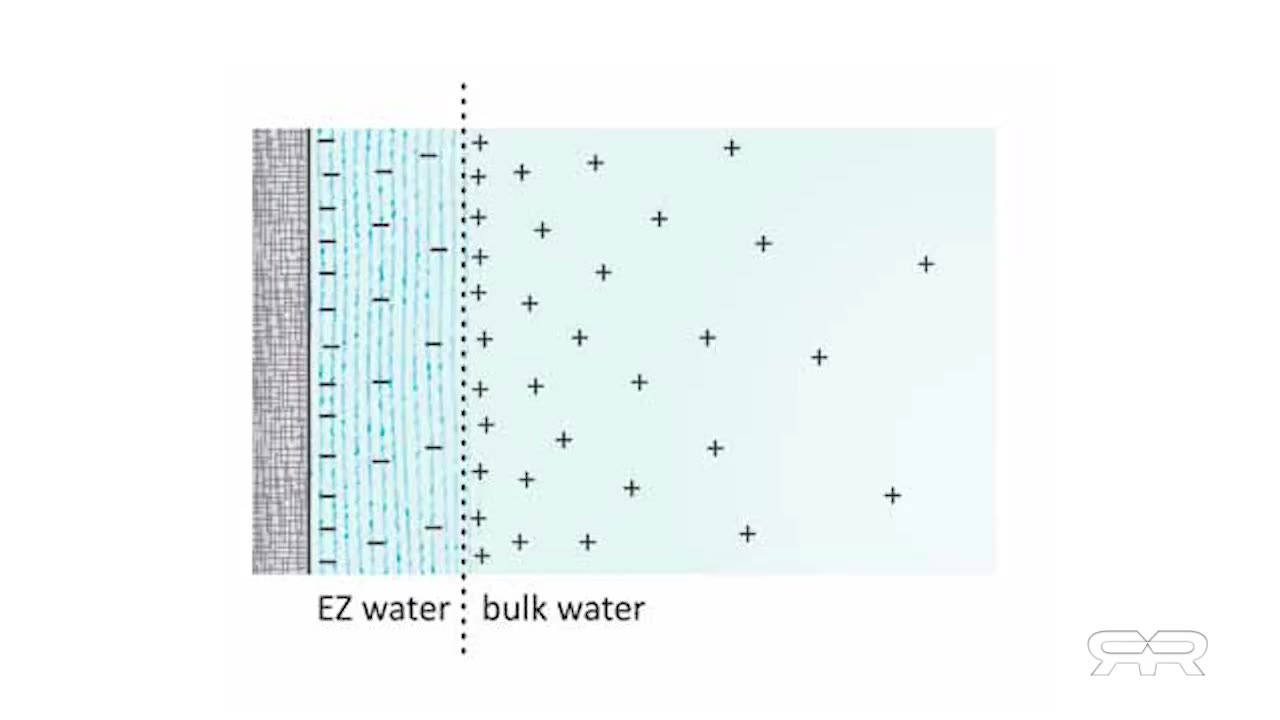 Structured Water & the Human Body