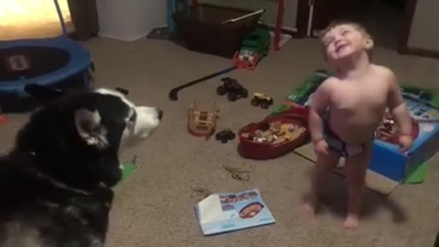 The funniest dog with the laughing kid