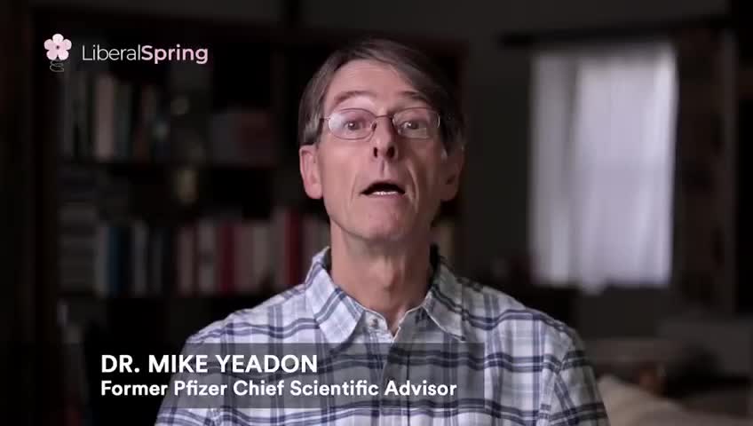 liberalspring.org website