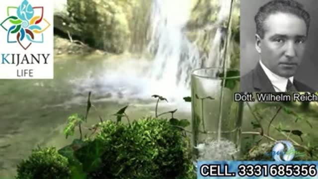 Studio scientifico dimostra la relazione tra 5G e covid-19!!!