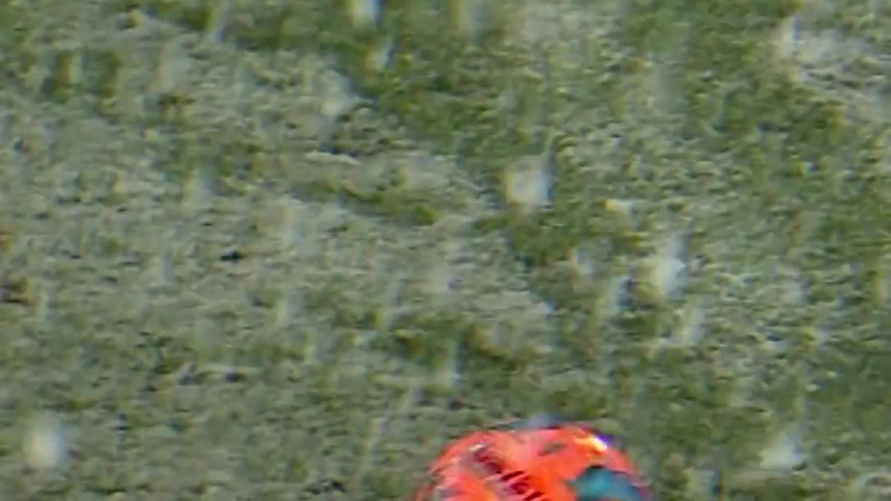 অনেকে সুন্দর দৃশ্য