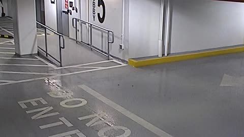 6080RHOBG3G305ANorthLobbyEntry_2021-01-06_10h20min02s903ms.mp4