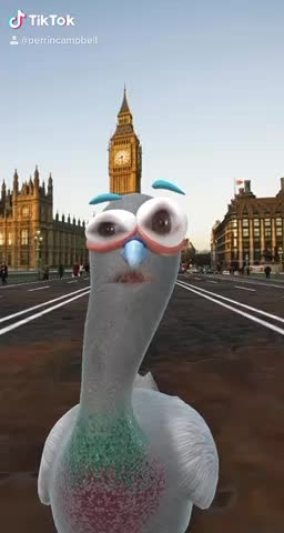 Vaccines are bad for you.