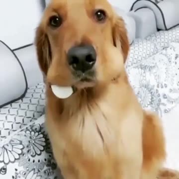 When the ball drops on New Years and you’re faced with your favorite mistake...