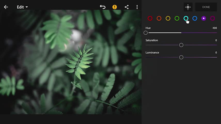 The Color Adjustment Of Leaf Photos