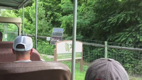 The Wilds Animal Preserve (Muskingum County, Ohio) 4