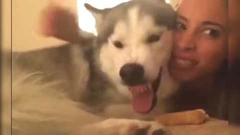 The host makes faces with the husky