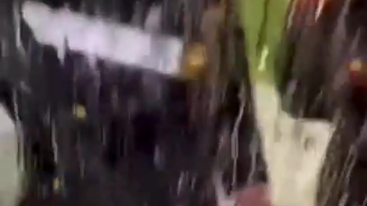 Dan Scavino Jr.πΊπΈπ¦