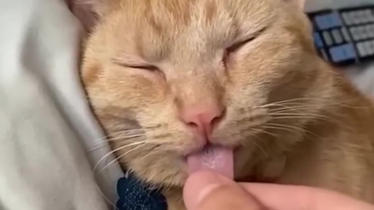 https://youtu.be/qa_EJDTxO4E?si=o2UMAuPKuyT5Unwb