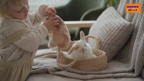 little girl playing with rabbit