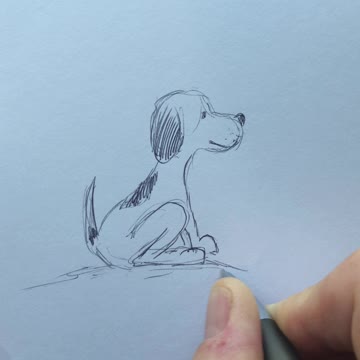 The puppy sketch